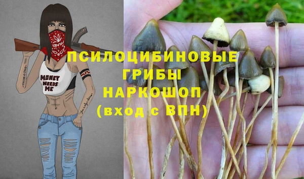 бутират Аркадак