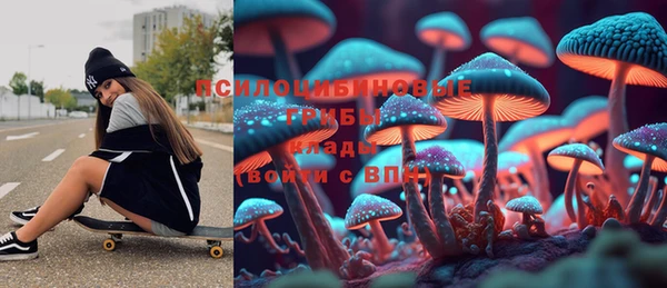 сатива Арсеньев