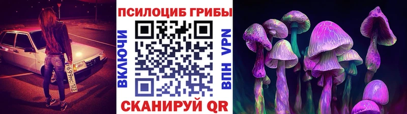 Псилоцибиновые грибы Psilocybe  где купить наркотик  Спасск-Рязанский 